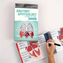 1-Pack Anatomy Label Lab Workbook - 100+ Full-Color Dry-Erase Pages With Interactive Human Body Diagrams & Medical Terminology - Color-Coded Organs & Systems Study Tool For Medical Students, Biology Classes & Study Groups - NCLEX Prep Essential, Nursing School Gift, Physician Assistant Resource, USMLE Study , Anatomy Coloring Book Alternative