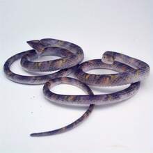 Realistic Soft Rubber Snake Prank Toy - Python, King Snake, Design, Suitable Indoor/Outdoor Decoration - A1 - View 4
