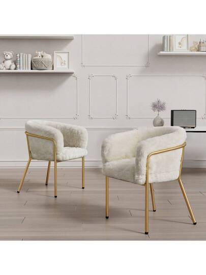 Dining Chairs view 5