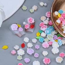 3D Flower Nail Charms Set,150pcs Mixed Size Camellia Rose Resin Charms,150pcs Mixed Size And Color Leaves,100pcs Round White Pearl Beads For Nail Accessories Nail Art (15-Rose-6color Blue){"Color_name":"Rose-6colorblue"} - 玫瑰-6色藍色 - 查看 3