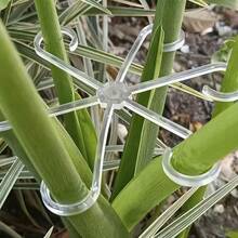 4pcs Of PlantsSupport Clips,Plant Holder Fasteners,Sturdy Stem Clamps For Gardening Climbing Plants - Plastic Material,Orgarden Indoor Climbing Plants, Plant Supports Grow A Garden. - Multicolor - View 4
