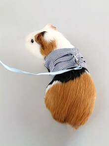 1 Stück kleine Haustier Karomuster Kleidung Ausgang Leine, Frühling und Sommer bequeme zweibeinge Kleidung für Nerz, Kaninchen, Igel, Brustgurt Ausgang Leine