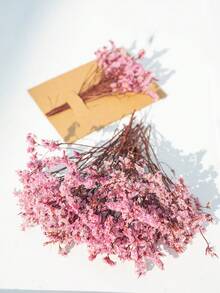 25/55/110/300 件天然干花 - 优雅保鲜，适合家庭、办公室、婚礼、圣诞节、万圣节派对、手工艺品 - ，免维护，适合 14 岁以上（无纸卡） - 淺粉紅水晶草 - 查看 3