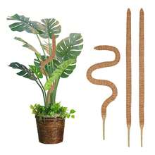 Flexible Plant Support Pole, Free Form Climbing Vine Post, Bendable Moss Support For Indoor Climbing Plants - Stakes For Potted Climbing Plants - Tall Trellising Pole For Indoor Plants - Flower Pot Accessories