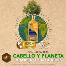 Tio Nacho Shampoo Anti-caída Engrosador - Fortalece Cabello, Aumenta Volumen, Fragancia de Aloe, 950 ml, Empaque Reciclado, Ideal para Adultos - Multicolor - Ver 5