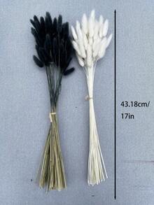 30/59/80/119 Pcs Natural Dried Rabbit Tail Flowers, Pampas Grass, Suitable For Boho Decor, Home, Wedding, DIY Crafts