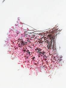 25/55/110/300 件天然干花 - 优雅保鲜，适合家庭、办公室、婚礼、圣诞节、万圣节派对、手工艺品 - ，免维护，适合 14 岁以上（无纸卡） - 淺粉紅水晶草 - 查看 4