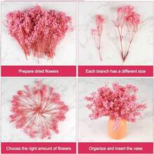 25/55/110/300 piezas de flores secas naturales de Aliento - Aliento preservado elegante, adecuado para el hogar, la oficina, la boda, la Navidad, la fiesta de Halloween, manualidades - , sin mantenimiento, adecuado para mayores de 14 años (sin tarjeta de papel)