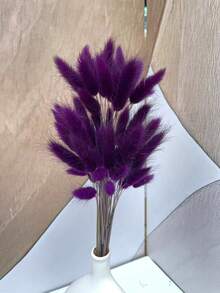 30/59/80/119 Pcs Natural Dried Rabbit Tail Flowers, Pampas Grass, Suitable For Boho Decor, Home, Wedding, DIY Crafts