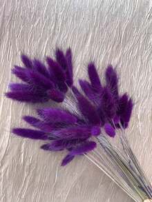 30/59/80/119 Pcs Natural Dried Rabbit Tail Flowers, Pampas Grass, Suitable For Boho Decor, Home, Wedding, DIY Crafts