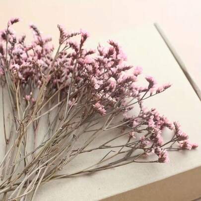 25/55/110/300 st naturliga torkade blommor - Elegant bevarad andedräkt, Lämplig för hem, kontor, bröllop, jul, halloweenfest, hantverk - , Underhållsfri, Lämplig för åldrarna 14+ (Ingen papperskartong)