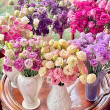 900 Lisianthus Seeds For Planting, Mixed Color Eustoma Flower Species, Thorny Rose Seeds, Non-GMO Eustoma Grandiflorum Perennial Garden Indoor Flowers - 900 - 查看 1