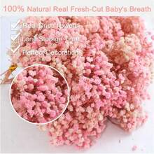 25/55/110/300 piezas de flores secas naturales de Aliento - Aliento preservado elegante, adecuado para el hogar, la oficina, la boda, la Navidad, la fiesta de Halloween, manualidades - , sin mantenimiento, adecuado para mayores de 14 años (sin tarjeta de papel)