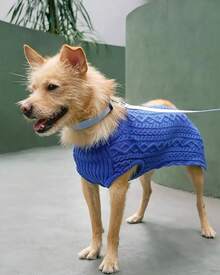 Pet Basic Dog Collars - Chambray Blue - View 4