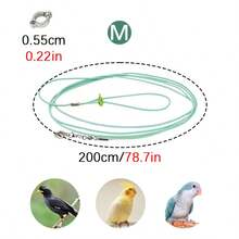 1 件四季鹦鹉飞行牵引绳，弹性轻质训练绳，带脚环，户外鹦鹉散步牵引绳 - 彩色 - 查看 14