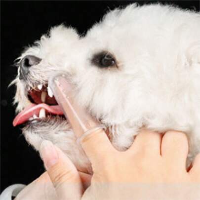 1PCS Pet Finger Toothbrush Pet Toothbrush Finger Toothbrush Suitable For Dogs And Cats To Clean Teeth Toothbrush Toothbrush Brush Set To Clean Small Teeth Dog Finger Brush Cat Finger Brush Pet Finger Brush Pet Toothbrush Pet Brush Pet Comb