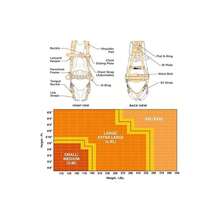 AFP Demon Comfortable Fall Protection Harness Kit – OSHA_ANSI PPE Full Body Safety Harness For Construction Work