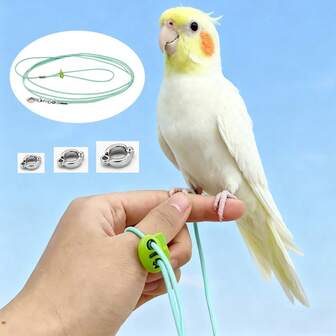 1 pieza Correa de vuelo para loro para todo el año, ligera y elástica con anillo para el pie, correa para pasear al loro al aire libre