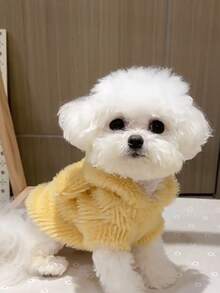 柔软貂绒宠物连帽衫 - 可爱耳朵设计，保暖冬季毛衣，适合中小型犬猫 | 舒适毛绒宠物服装 - 彩色 - 查看 4