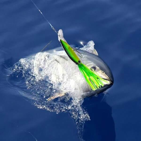 Advanced Octopus Maze Fish Bait - Durable ABS Structure, Suitable For Saltwater/Freshwater Big Fish Hunting | Realistic Ink Fish Shape Attracts Predators | Perfect For Collection Boxes And Full Season Fishing Adventures - Luminous Artificial Bait With 3D Eyes, Suitable For Sea Fishing