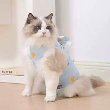 1 bộ đồ phẫu thuật cho thú cưng, bộ đồ cai sữa cho mèo con, triệt sản, quần áo bảo hộ sau phẫu thuật chống rụng lông co giãn cho mèo, có sẵn màu hồng, xanh dương, vàng, xanh lá cây - Nhiều màu - Xem 9