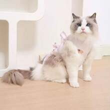 1 bộ đồ phẫu thuật cho thú cưng, bộ đồ cai sữa cho mèo con, triệt sản, quần áo bảo hộ sau phẫu thuật chống rụng lông co giãn cho mèo, có sẵn màu hồng, xanh dương, vàng, xanh lá cây - Nhiều màu - Xem 7