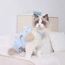 1 bộ đồ phẫu thuật cho thú cưng, bộ đồ cai sữa cho mèo con, triệt sản, quần áo bảo hộ sau phẫu thuật chống rụng lông co giãn cho mèo, có sẵn màu hồng, xanh dương, vàng, xanh lá cây - Nhiều màu - Xem 8
