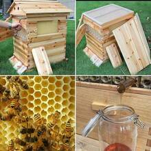 Auto Flowing Full Set 7PCS Beehive Honey Hive Frame +Cedarwood Beekeeping Brood Box - 棕色 - 查看 5