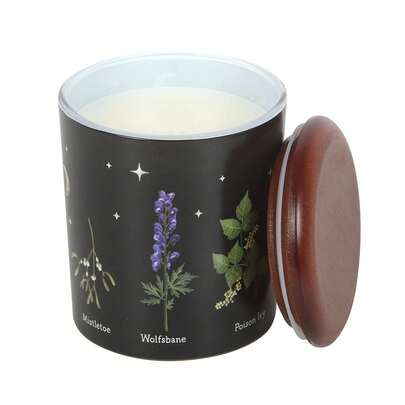 Something Different Deadly Nightshade Scented Candle (Black) - 100% Mixed - (SD10501)