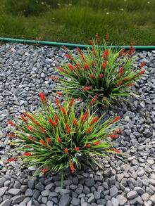 6 Pieces Lavender Flowers - Artificial Fake Outdoor Plants And Flowers For Spring Decoration, Festive Occasions, Daily Life, Romantic And Cute Country Style Decoration. Artificial Imitation Of True Lavender Grass, Realistic Green Plants, Realistic Plastic Plants In Purple Color. Suitable For Home, Outdoor Planting, Windows, Courtyards, Gardens And Decoration Of Flower Pots. UV-Resistant. - Red - View 5