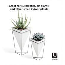 Trigg Desktop Planter Vase And Geometric Containerfor Succulent Air Mini Cactus Faux Plants Ceramic Set Of 2 Desk White Nickel Decor