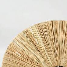 Lexi Lighting Lucia Raffia Pendant Light Small