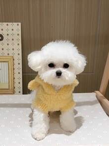 柔软貂绒宠物连帽衫 - 可爱耳朵设计，保暖冬季毛衣，适合中小型犬猫 | 舒适毛绒宠物服装 - 彩色 - 查看 5