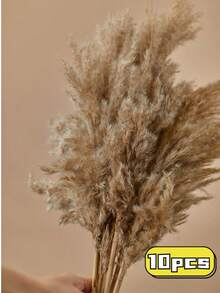5/10/20 Stücke 22,83 Zoll Boho Dekor, Flauschiges Pampasgras, Natürliches getrocknetes kleines kurzes Pampasgras Großhandel, Boho Zimmer Dekor, Couchtisch Dekor, Frühling Geschenk Dekor