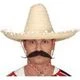 Fiestas Guirca Traditional Mexican Straw Hat With Folkloric And Classic Mariachi Style, Authentic And Colorful, Ideal For Parties, Costumes, And Cultural Celebrations - Beis - View 2