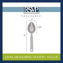 Endurance Oval Measuring Scoop, 1/2 cup - 1 Count (Pack of 1) + Acero inoxidable - Ver 8