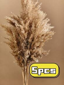 5/10/20 Stücke 22,83 Zoll Boho Dekor, Flauschiges Pampasgras, Natürliches getrocknetes kleines kurzes Pampasgras Großhandel, Boho Zimmer Dekor, Couchtisch Dekor, Frühling Geschenk Dekor