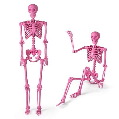 63" Halloween Pink Skeleton Decoration With 8 Moving Joints Indoor & Outdoor