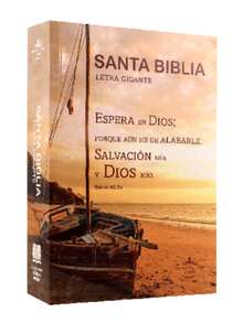 BIBLIA 1960 ECO RUSTICA TAMAÑO MANUAL LETRA GIGANTE 14P biblia 1960 eco rustica tamaño manual letra gigante 14 puntos formato portable texto rey valera 1960 ideal lectura facil estudio devocional envio rapido garantia editorial autentica - Libro único - Ver 4