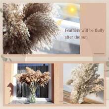 5/10/20 Stücke 22,83 Zoll Boho Dekor, Flauschiges Pampasgras, Natürliches getrocknetes kleines kurzes Pampasgras Großhandel, Boho Zimmer Dekor, Couchtisch Dekor, Frühling Geschenk Dekor