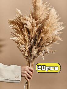 5/10/20 Stücke 22,83 Zoll Boho Dekor, Flauschiges Pampasgras, Natürliches getrocknetes kleines kurzes Pampasgras Großhandel, Boho Zimmer Dekor, Couchtisch Dekor, Frühling Geschenk Dekor