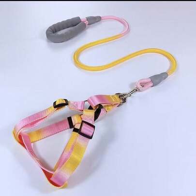 Coleira e Guia com Amortecedor e Pegador Peitoral Ajustável Para Pets Cachorros e Gatos Colorido