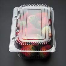 50Pcs Clear Square Hinged Plastic Food Containers, Disposable Containers With Clear Lids, Square Food Box Suitable For Desserts, Cakes, Cookies, Pasta, Sandwiches And Take-Out, Christmas Party Supplies - 白色 - 查看 3