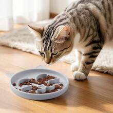 Silicone Slow Feeder Dog Bowls, Interactive Puzzle Pets DryWet Food Training, Keeps Dogs Cats Busy, Prevents Puppy Overeating 0.8 Cup - 0.8杯+灰色 - 查看 4