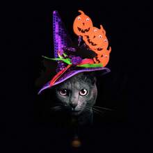 Halloween Haustier Katze Magischer Hut Schwarzer Schleier Spinne Lustige Kopfbedeckung