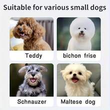 Automatic Rolling Ball Dog & Cat Toy, Durable Dog Chew Ball Toy, Interactive Cat & Dog Ball Toy, Dog Bouncy Ball Toy, Endless Fun & Exercise, Suitable For Medium & Small Pets, Must-Have For Dog Moms/Dads, Battery Capacity: 150mAh - Multicolor - View 4