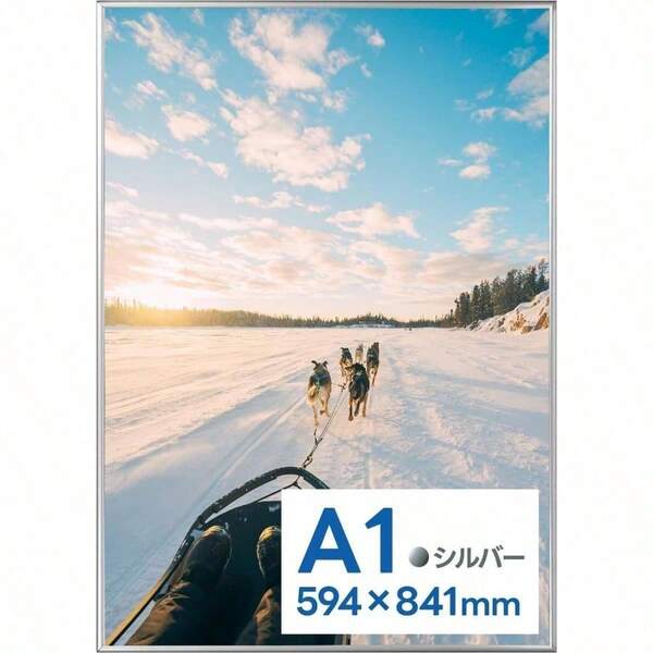 Three-Ring Binder Photo Albums