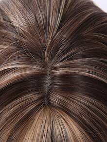 SMILCO 26Inch Straight Synthetic Wig With Brown Highlights & Bangs, Flattering & Easy Style, Perfect For Daily & Party, Limited Time Offer - 棕色挑染 - 查看 9