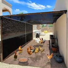 超大黑色遮阳网带索环 - HDPE 网布，适用于温室、游泳池、庭院、植物、凉亭和门廊，有多种尺寸可供选择