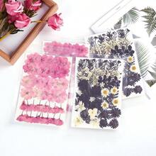 12 Types 48PCS Real Dried Pressed Flowers Resin, Leaf Plant Herbarium Jewelry Making Black And White - Black and White - View 7
